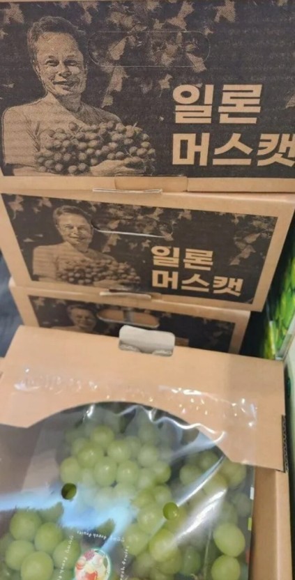 일론 머스크가 샤인 머스캣을 팔면 | 인스티즈
