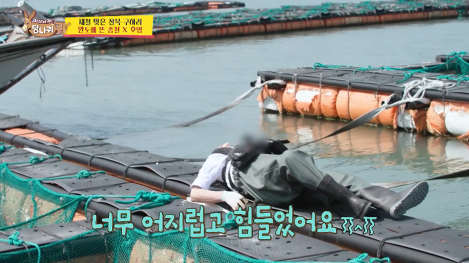 배 멀미는 배를 타서 생기는게 아니라 근처에 가기만해도 생긴다.jpg | 인스티즈