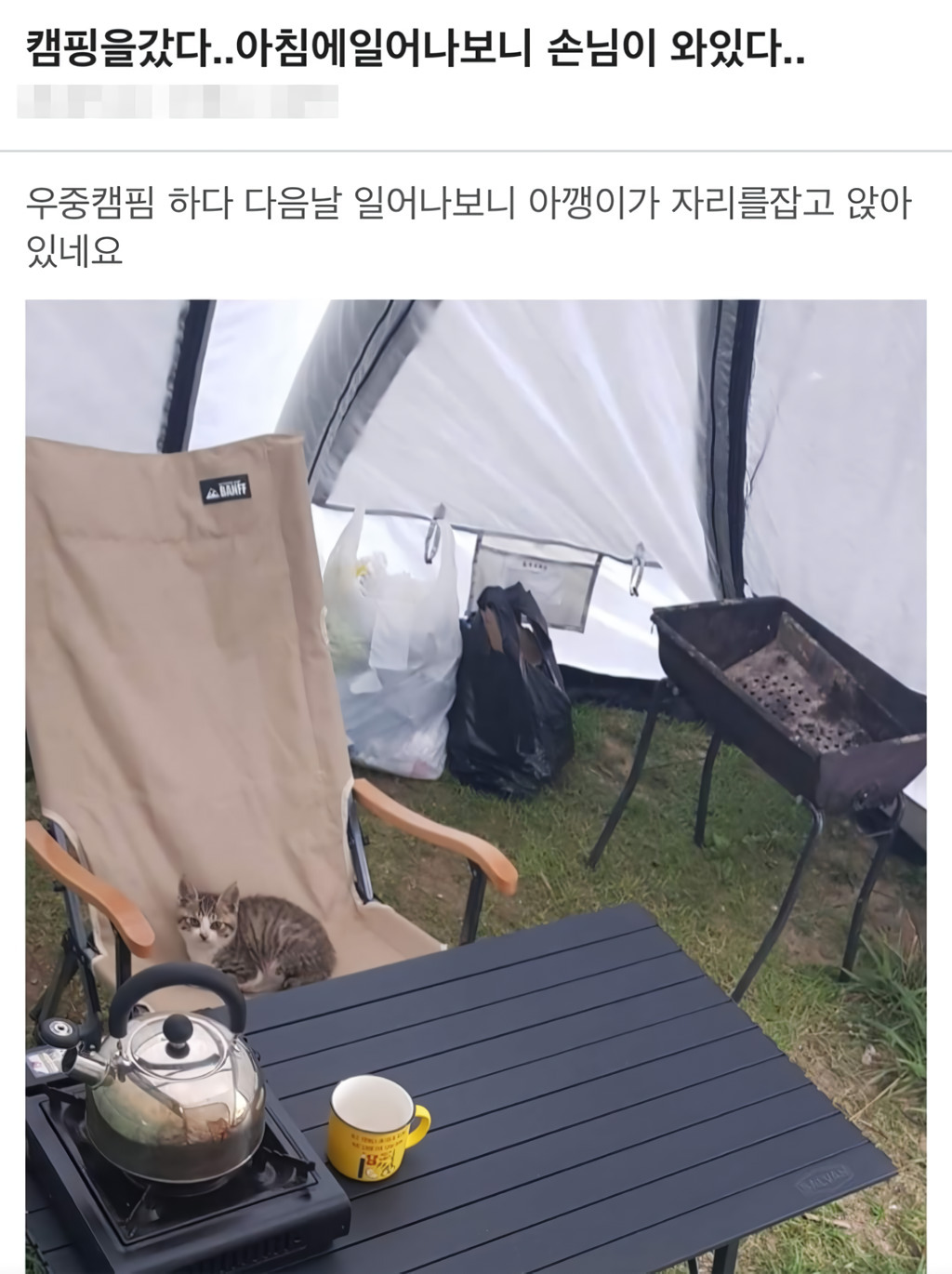 캠핑을 갔다… 아침에 일어나보니 | 인스티즈