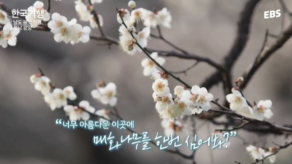 20년이면 세상사람 내 품에 다 오겠지 | 인스티즈