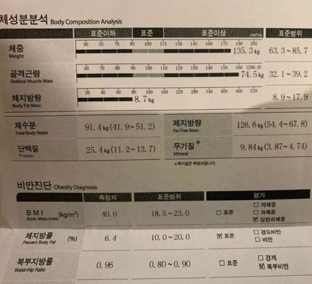 몸무게 135kg 인바디 결과 | 인스티즈