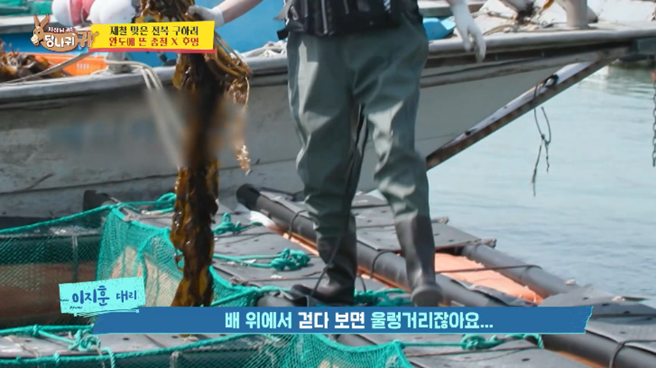 배 멀미는 배를 타서 생기는게 아니라 근처에 가기만해도 생긴다.jpg | 인스티즈