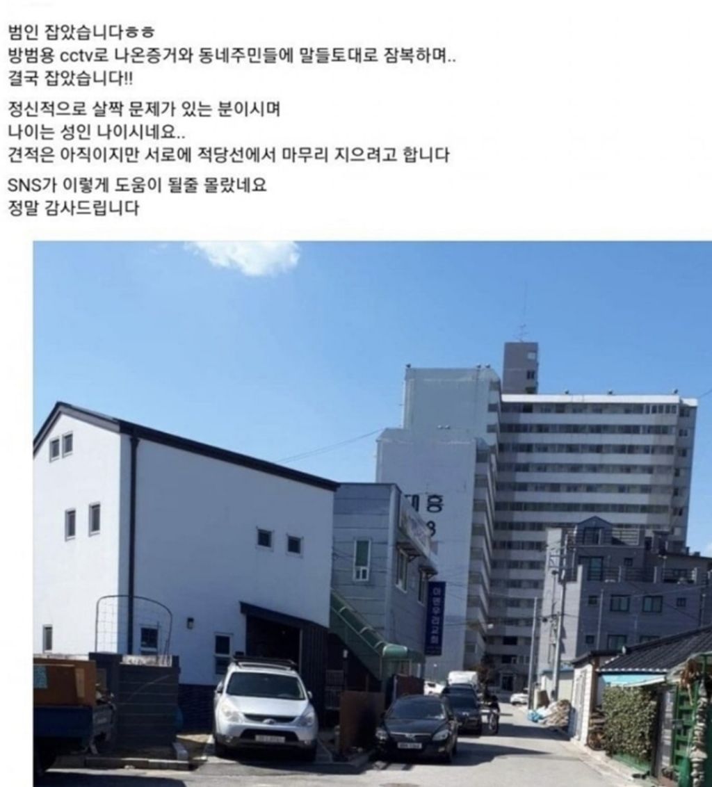 500~1000만원의 사례금이 걸렸던 자동차 낙서 사건 | 인스티즈