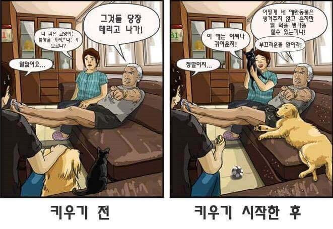  강아지 데려오는거 반대하는 아빠