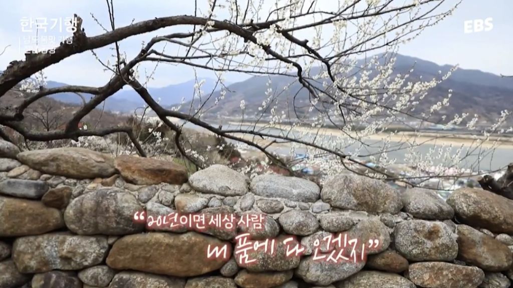 20년이면 세상사람 내 품에 다 오겠지 | 인스티즈