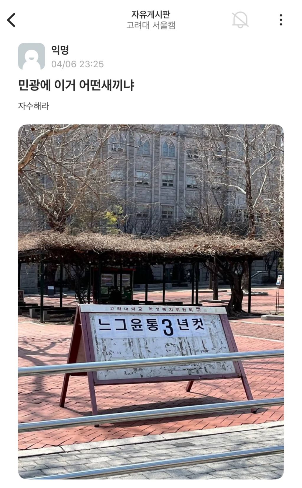  봄이 온 고려대 근황...jpg1