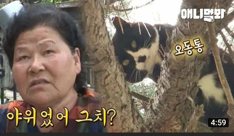 짤로 보는 할머니들 특징 | 인스티즈