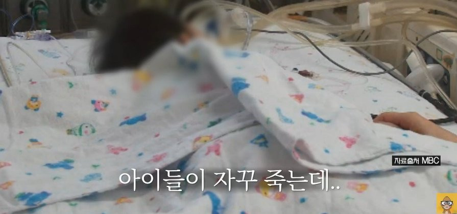 '어째서인지 아이들이 너무 많이 죽습니다' | 인스티즈