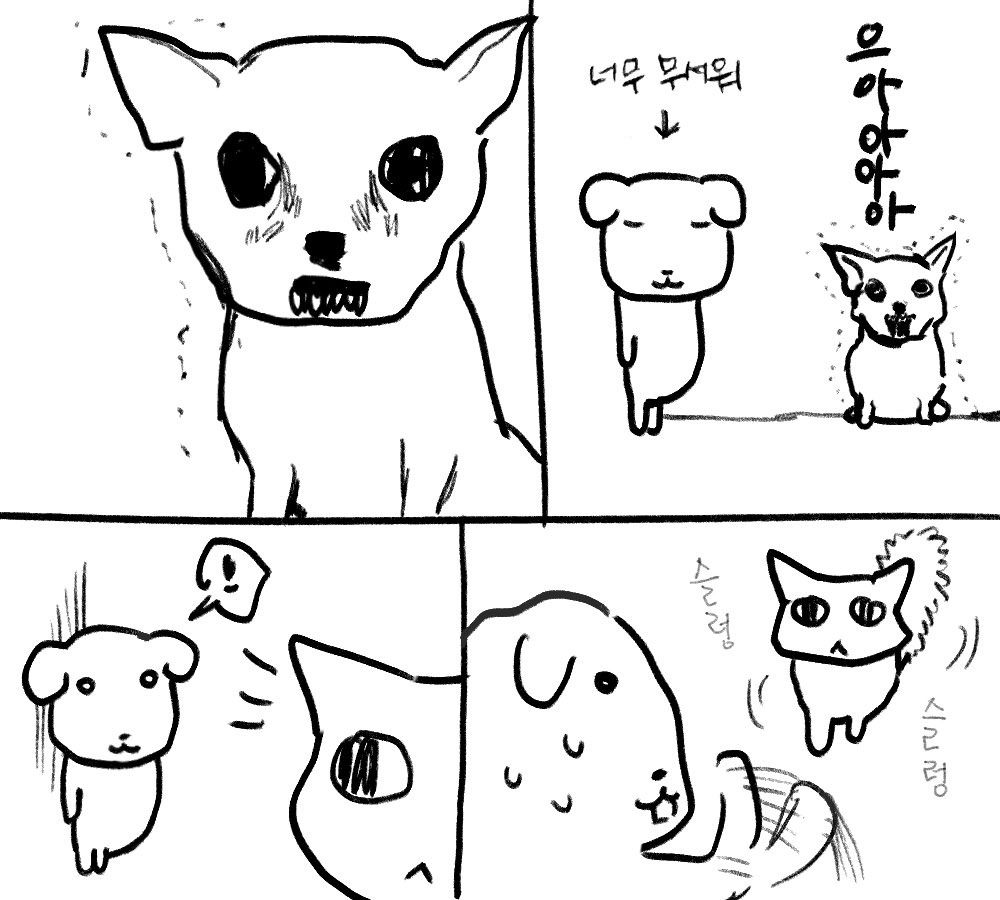 [듀.. 가나디] 강약약강 | 인스티즈