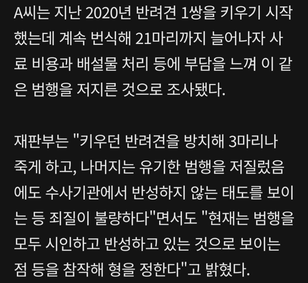 반려견 21마리 버리고 이사해 굶어 죽게 만든 주인...'솜방망이' 처벌 | 인스티즈
