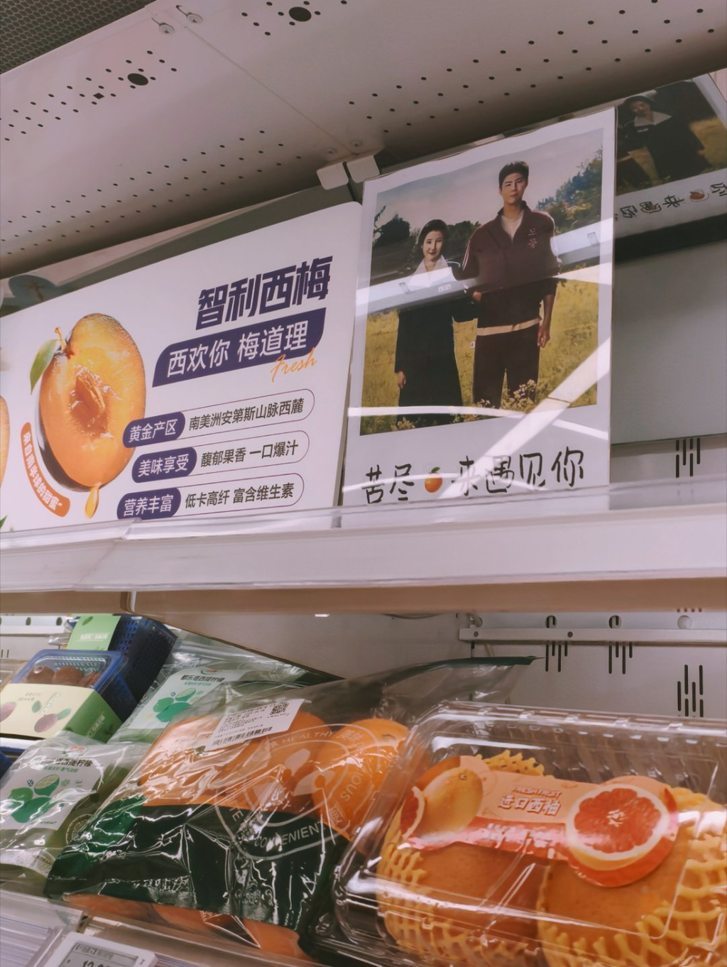 중국에서 불법으로 반응 대박난 폭싹속았수다 | 인스티즈