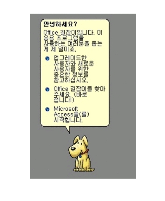 어른만 아는 강아지 | 인스티즈