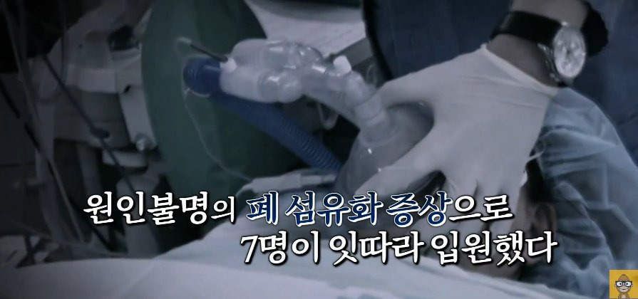 '어째서인지 아이들이 너무 많이 죽습니다' | 인스티즈