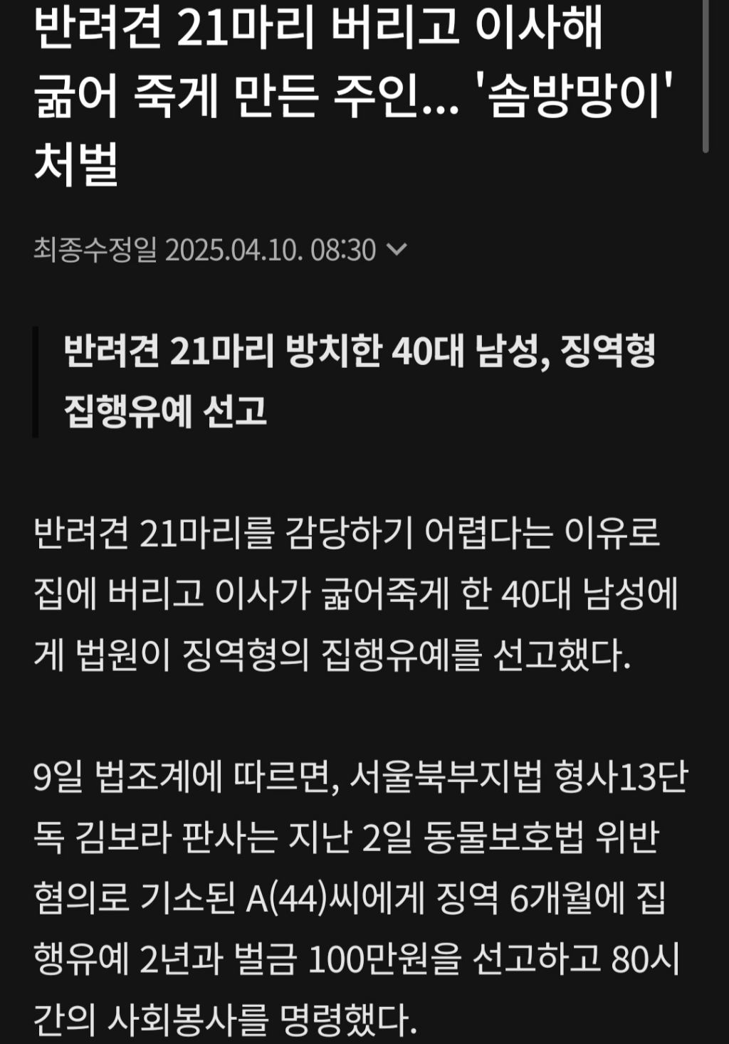 반려견 21마리 버리고 이사해 굶어 죽게 만든 주인...'솜방망이' 처벌 | 인스티즈