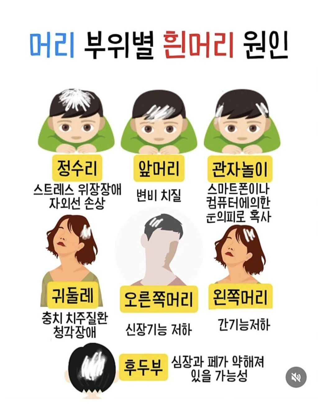 머리 부위별 흰머리 원인 | 인스티즈