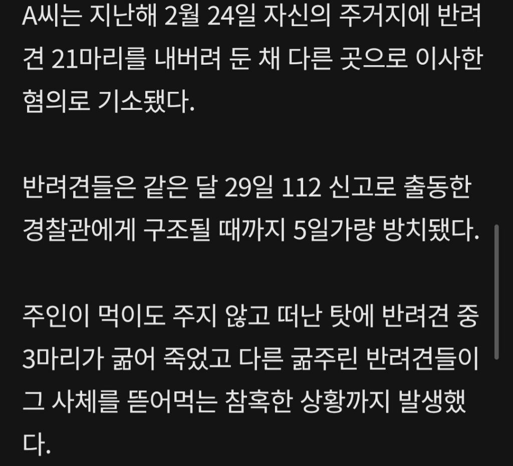반려견 21마리 버리고 이사해 굶어 죽게 만든 주인...'솜방망이' 처벌 | 인스티즈