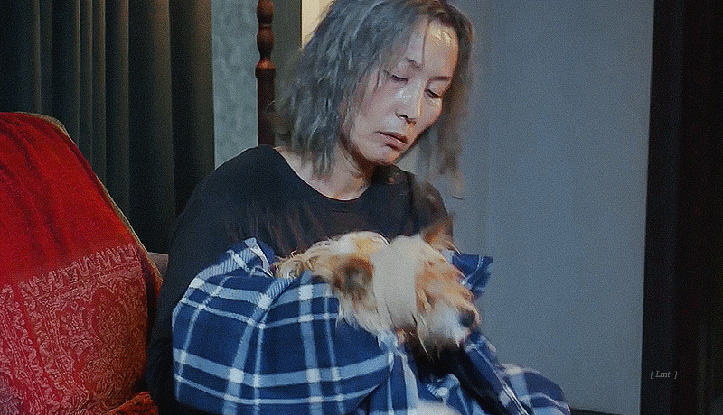 영화 파과 예고편 속 조각, 투우, 강선생, 류.gif | 인스티즈