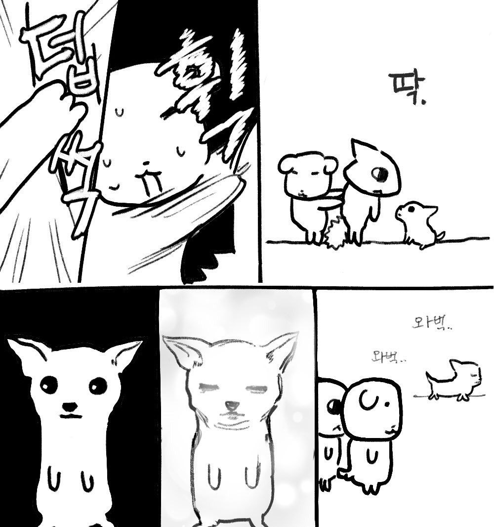 [듀.. 가나디] 강약약강 | 인스티즈