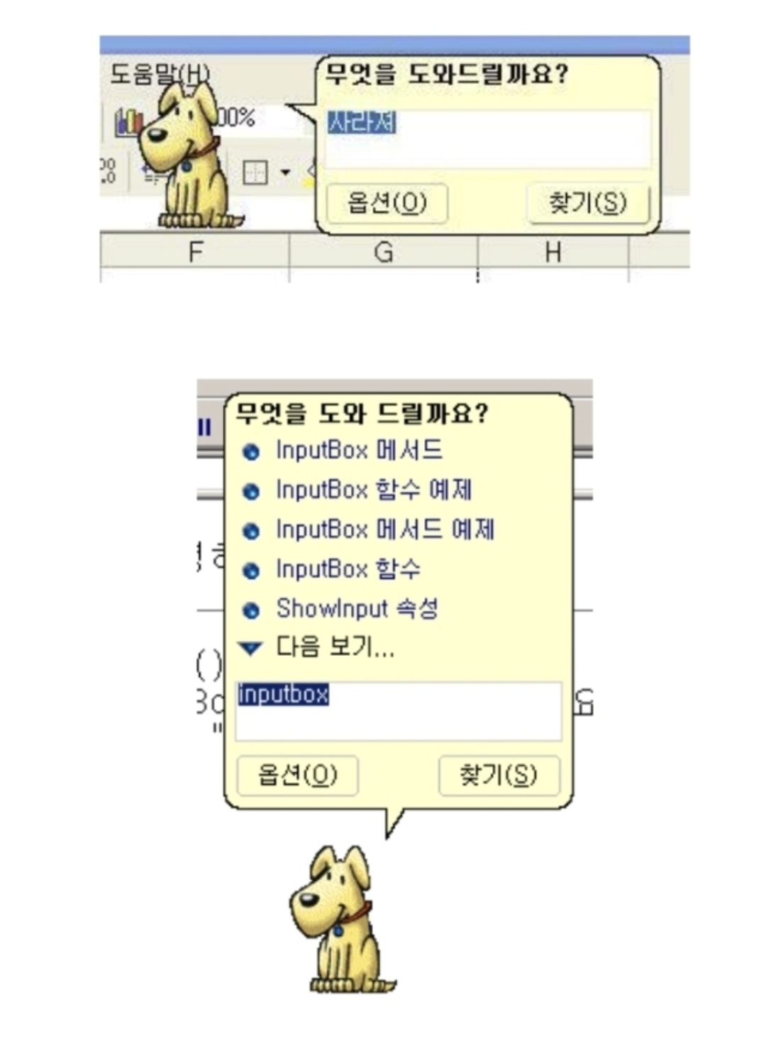 어른만 아는 강아지 | 인스티즈