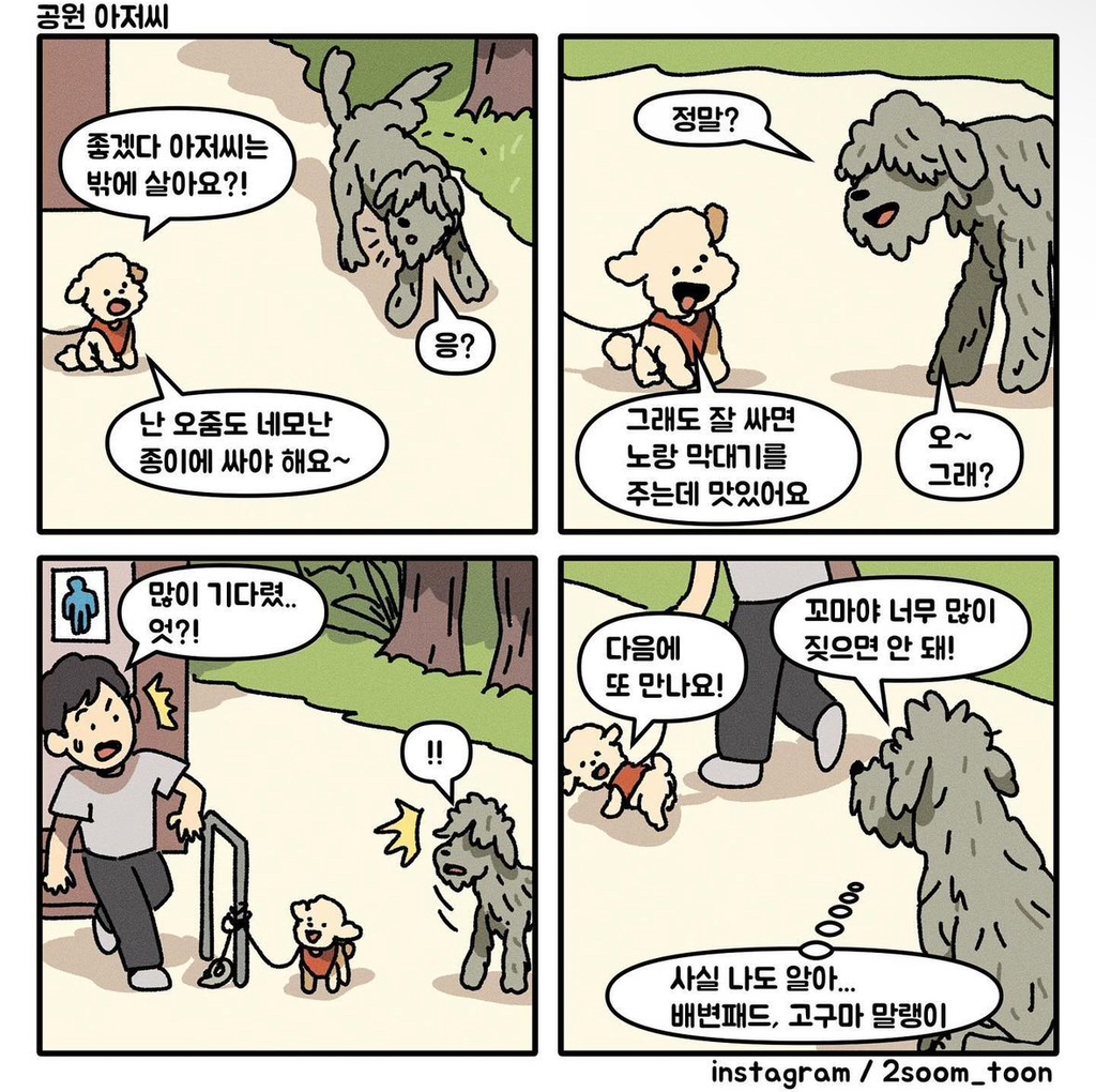  공원에서 만난 아저씨 강아지.jpg1