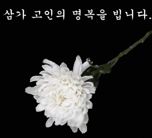 강동구 싱크홀 사망사고 유가족 이야기 | 인스티즈