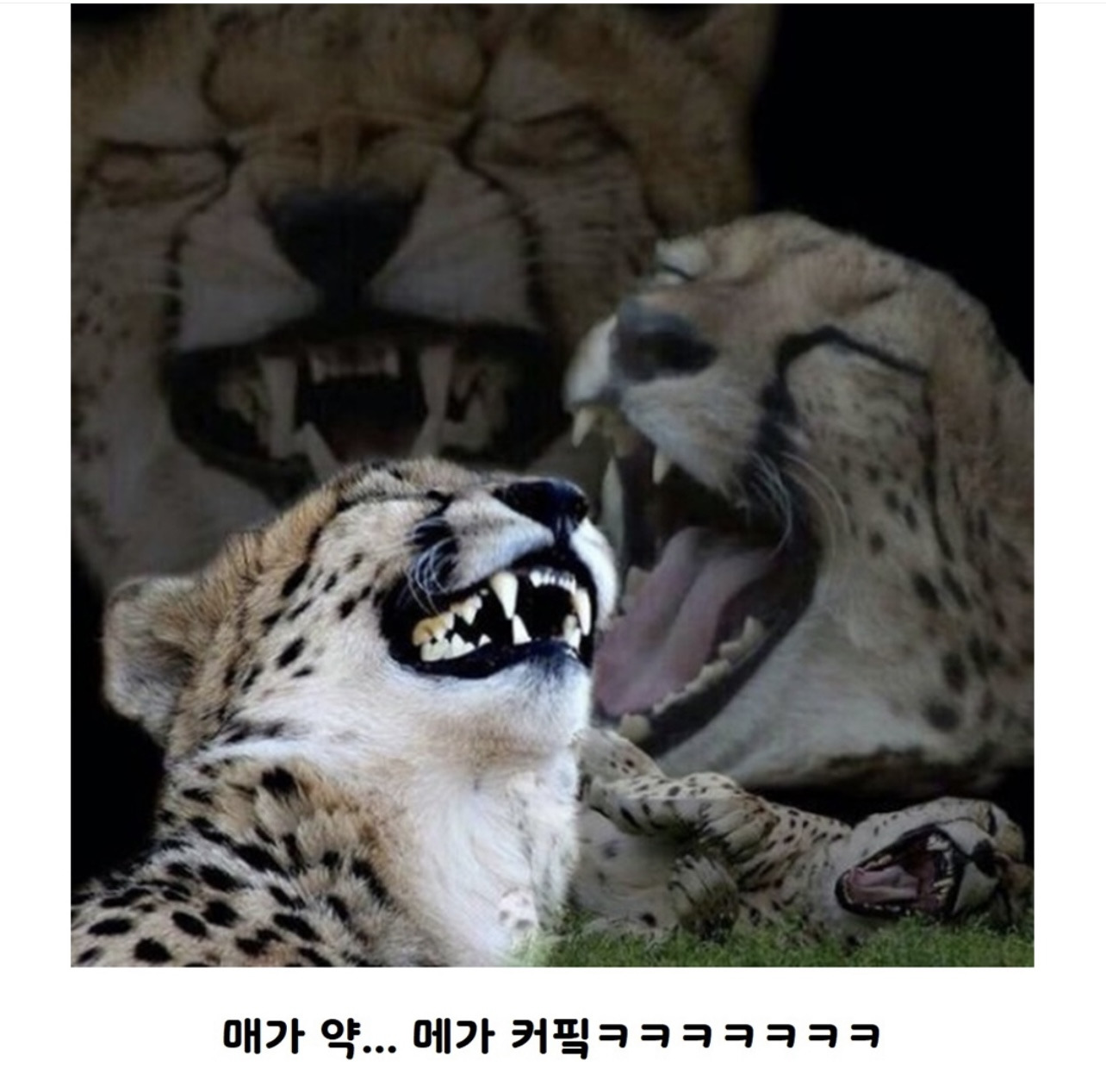 와 요즘 세상 많이 변했네.jpg | 인스티즈
