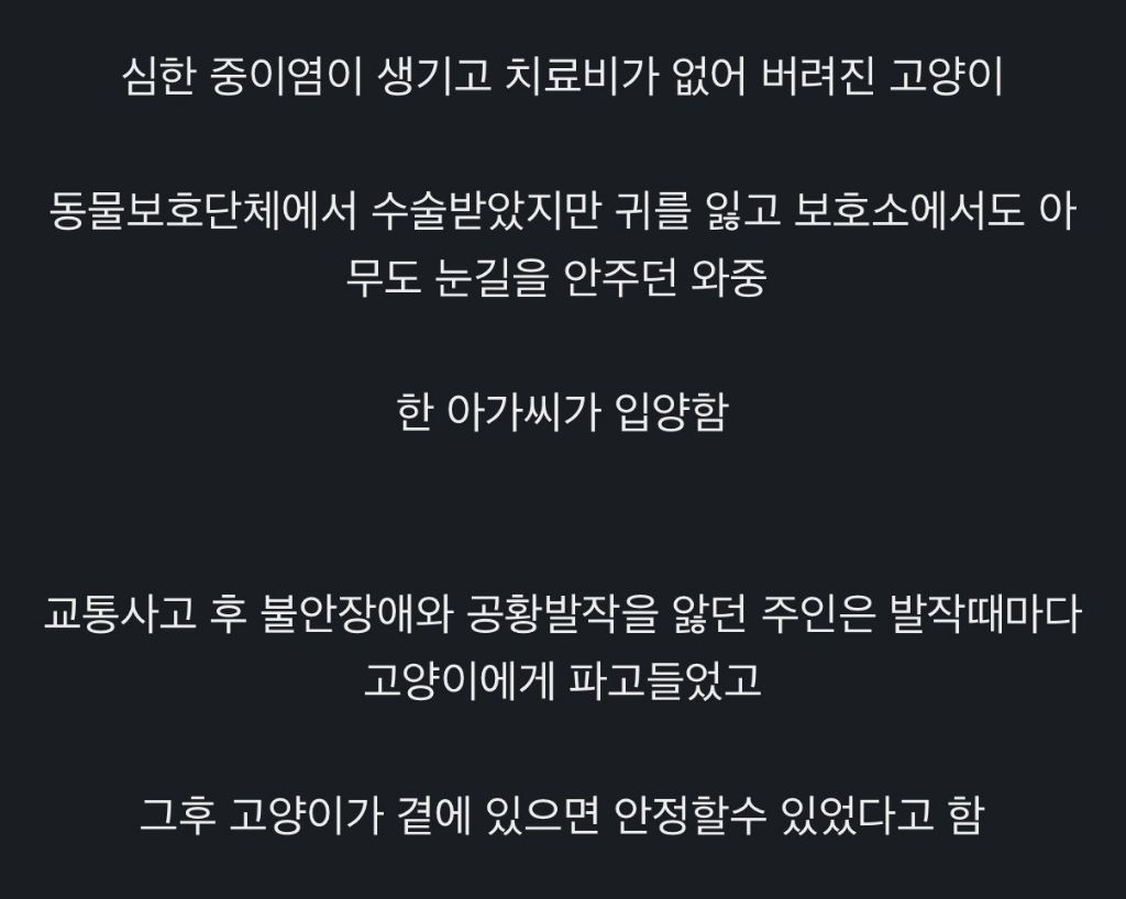 귀가 없는 고양이를 입양한 집사 | 인스티즈