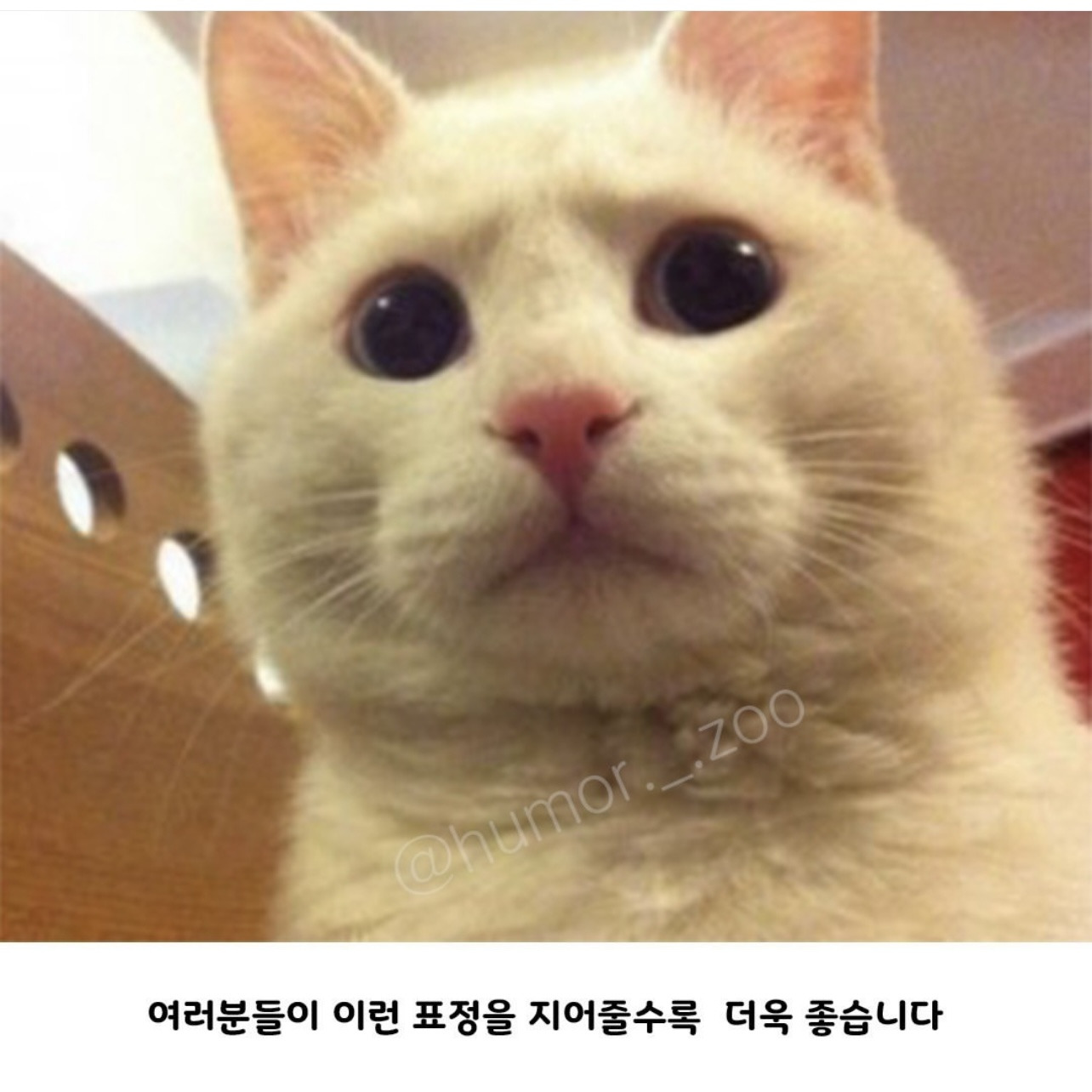 와 요즘 세상 많이 변했네.jpg | 인스티즈