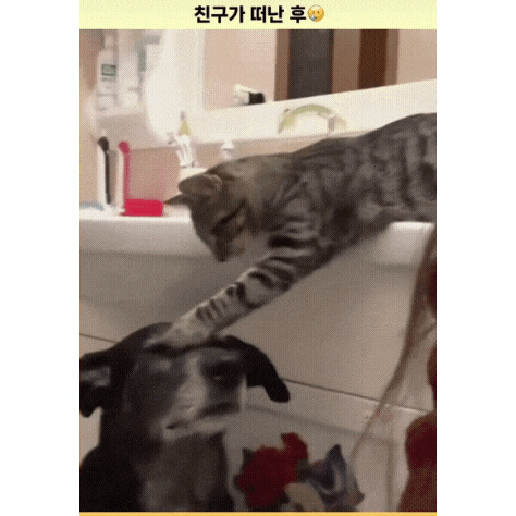  친구가 떠난 후