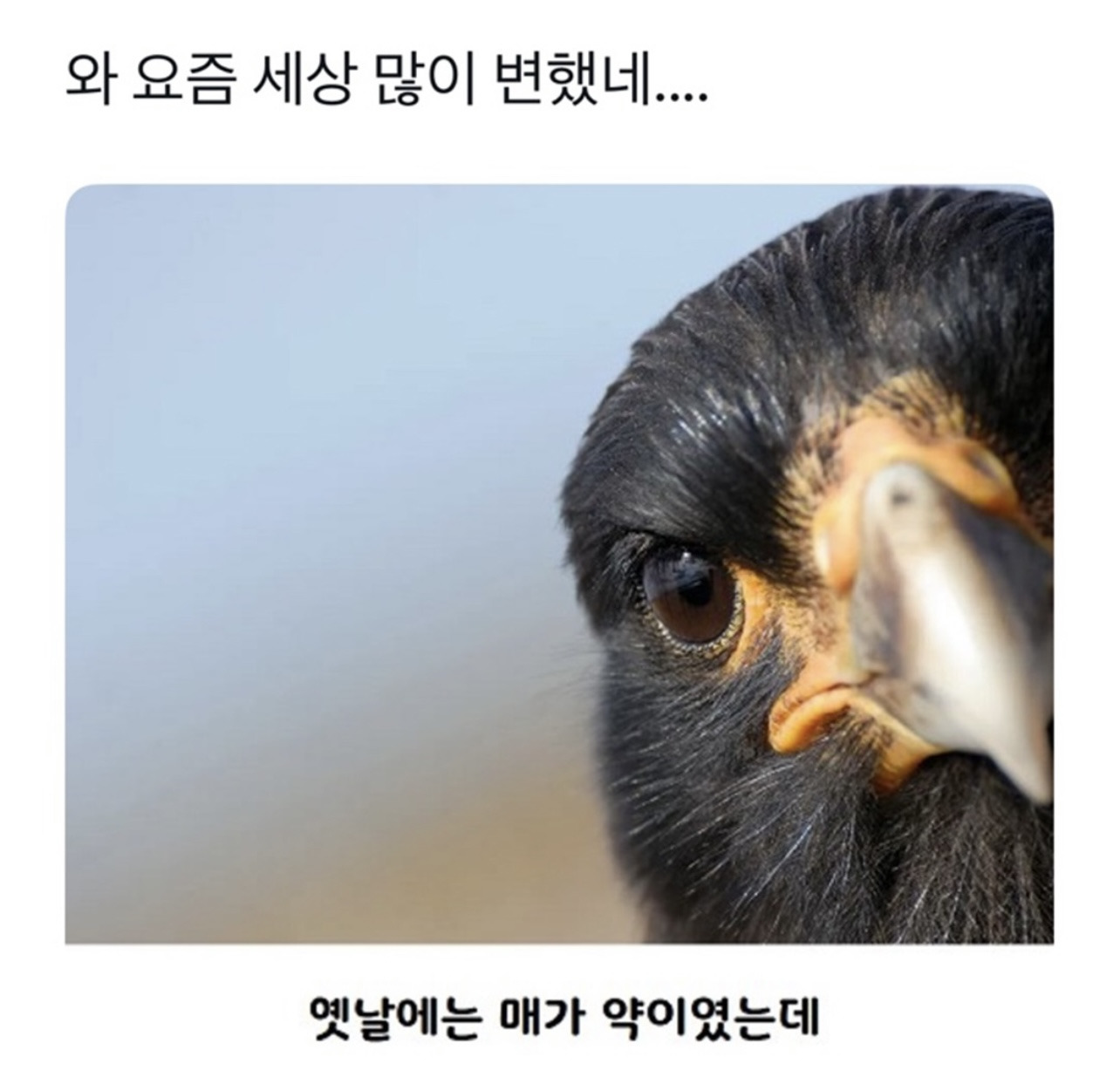 와 요즘 세상 많이 변했네.jpg | 인스티즈