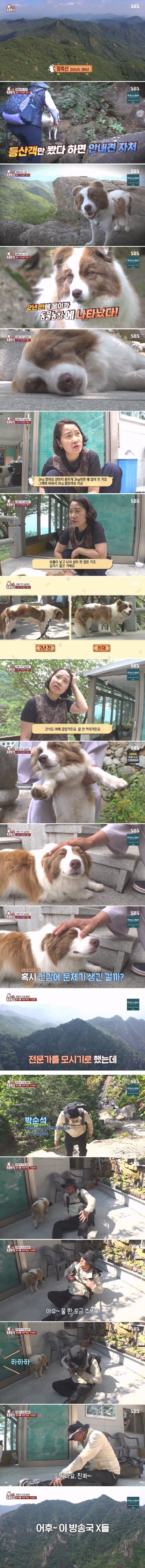 전문가에게 욕먹은 동물농장 제작진 | 인스티즈