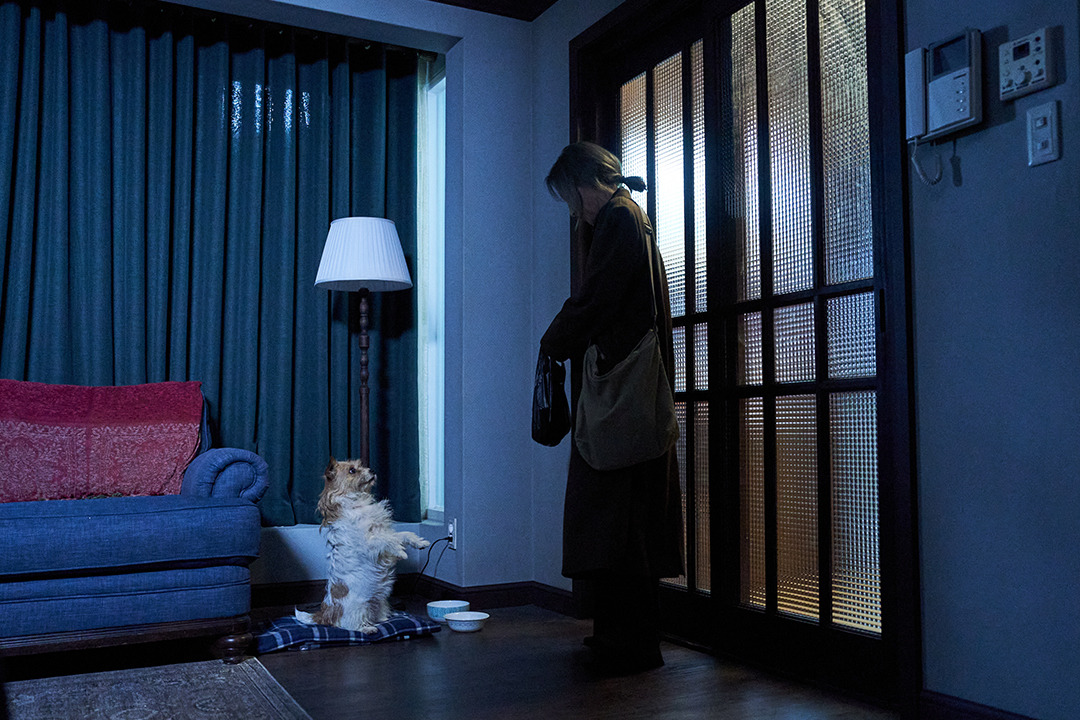 오늘 새로 뜬 영화 파과 스틸컷 | 인스티즈