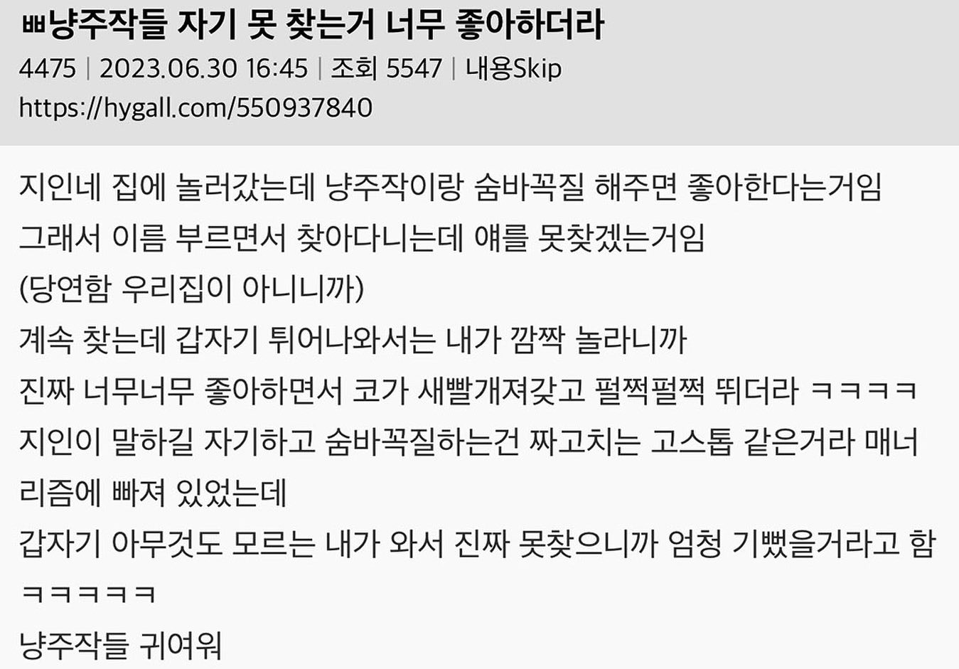  고양이들 자기 못 찾는거 너무 좋아하더라2