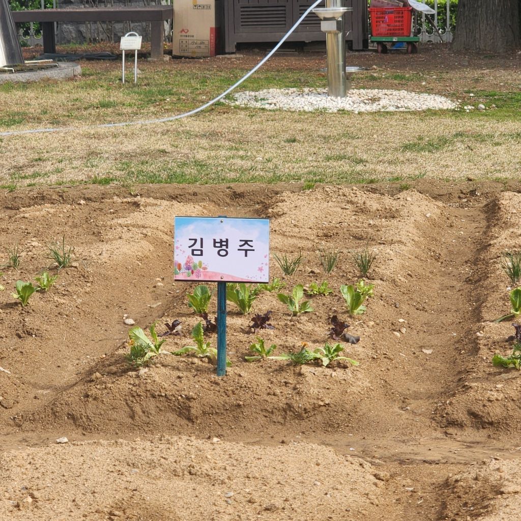 국회 한바퀴 중인데 텃밭이 잇네요..? 찬대헴 병주헴은... 상추 다 자라면 고기구워드시려나.... | 인스티즈