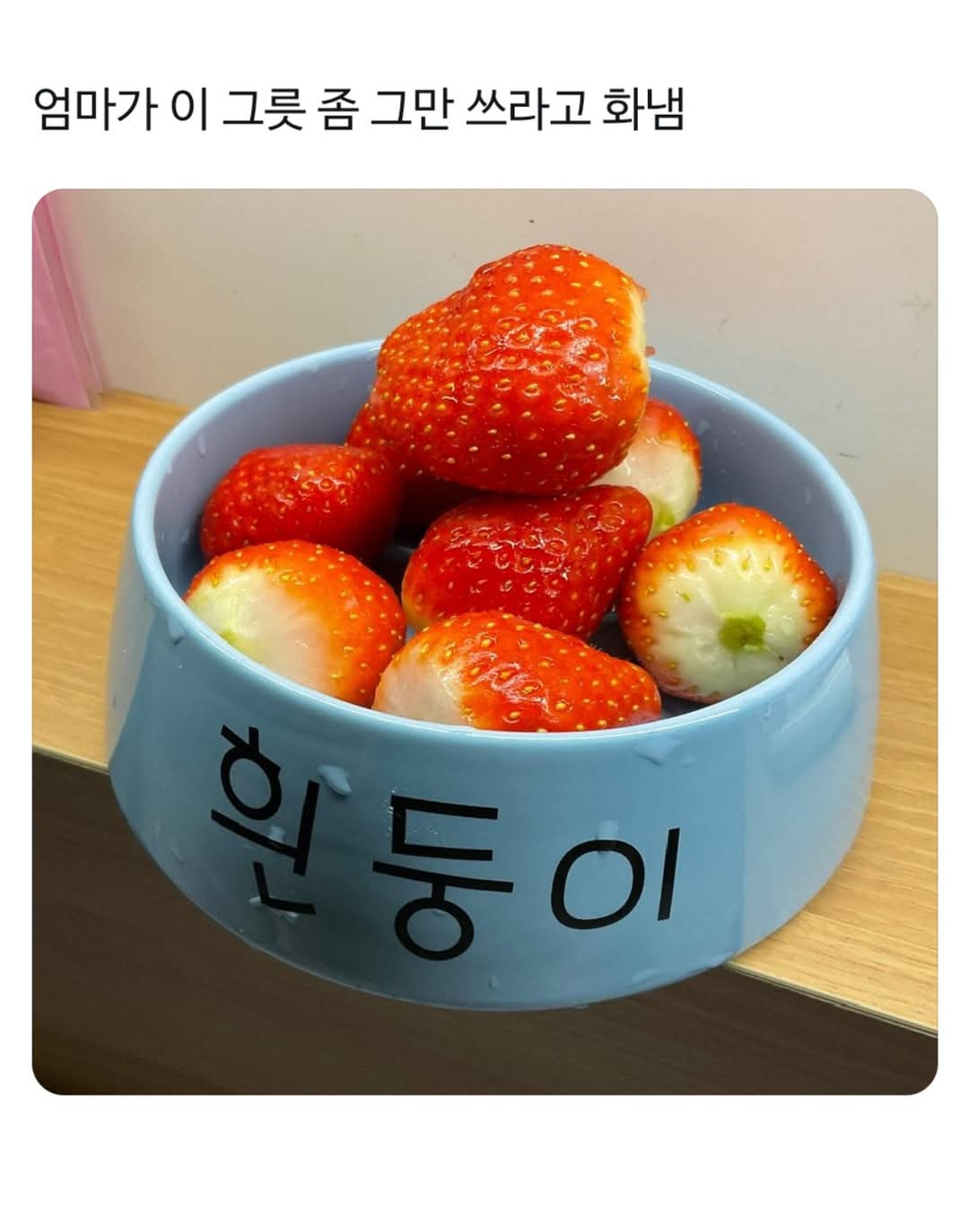  엄마가 이 그릇 좀 그만 쓰라고 화냄