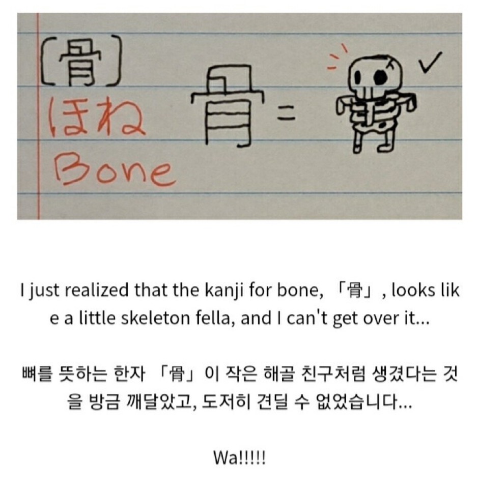  [骨] (뼈 골) 이라는 한자를 본 외국인