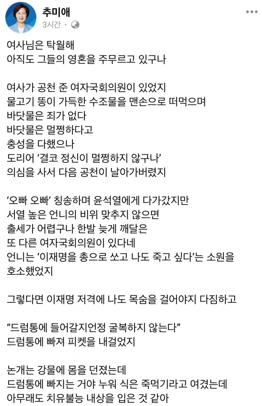  민주당 추미애 의원 페이스북