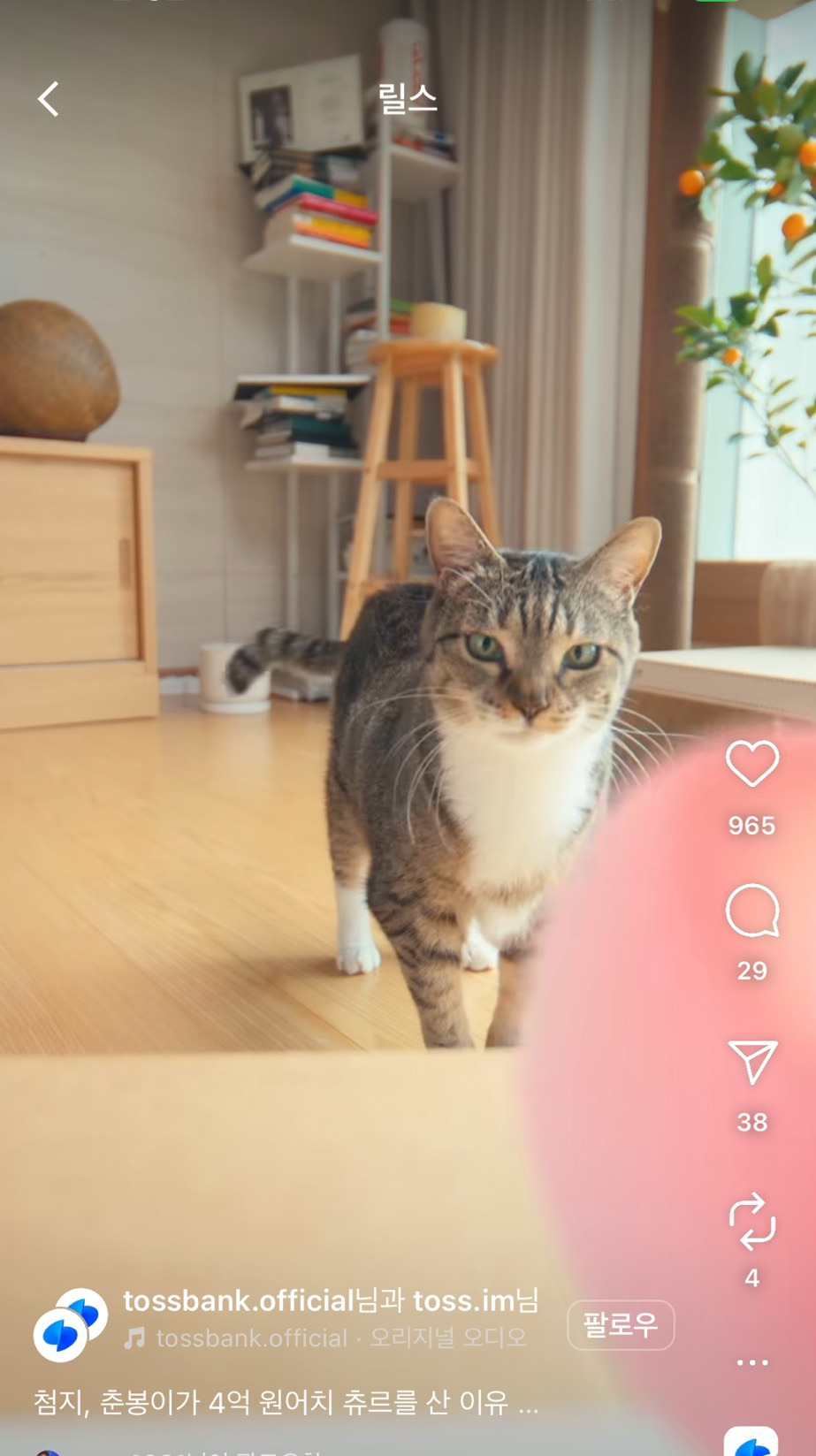  춘봉 첨지 근황