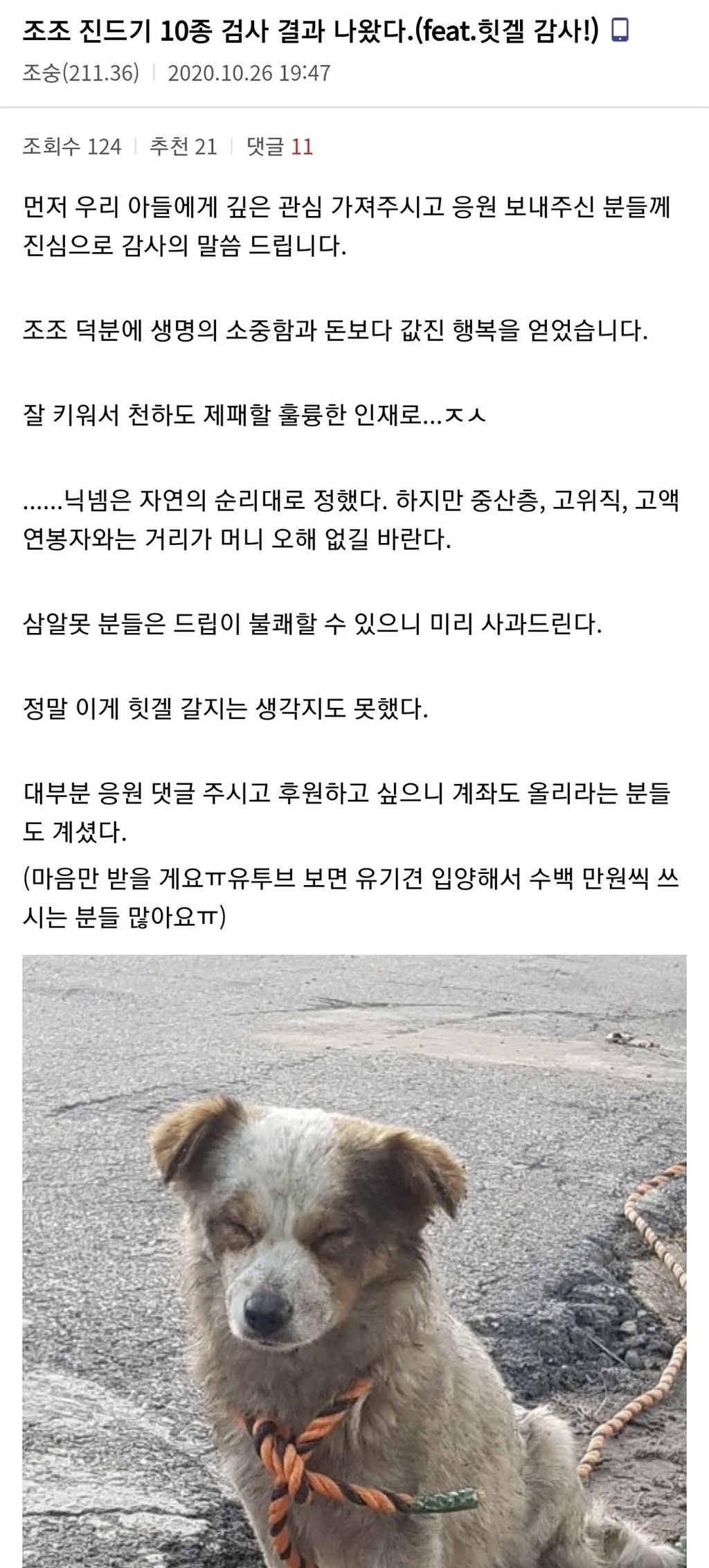 유기견 입양결정후 5일만에 115만원 지출한 멍멍이갤러 | 인스티즈