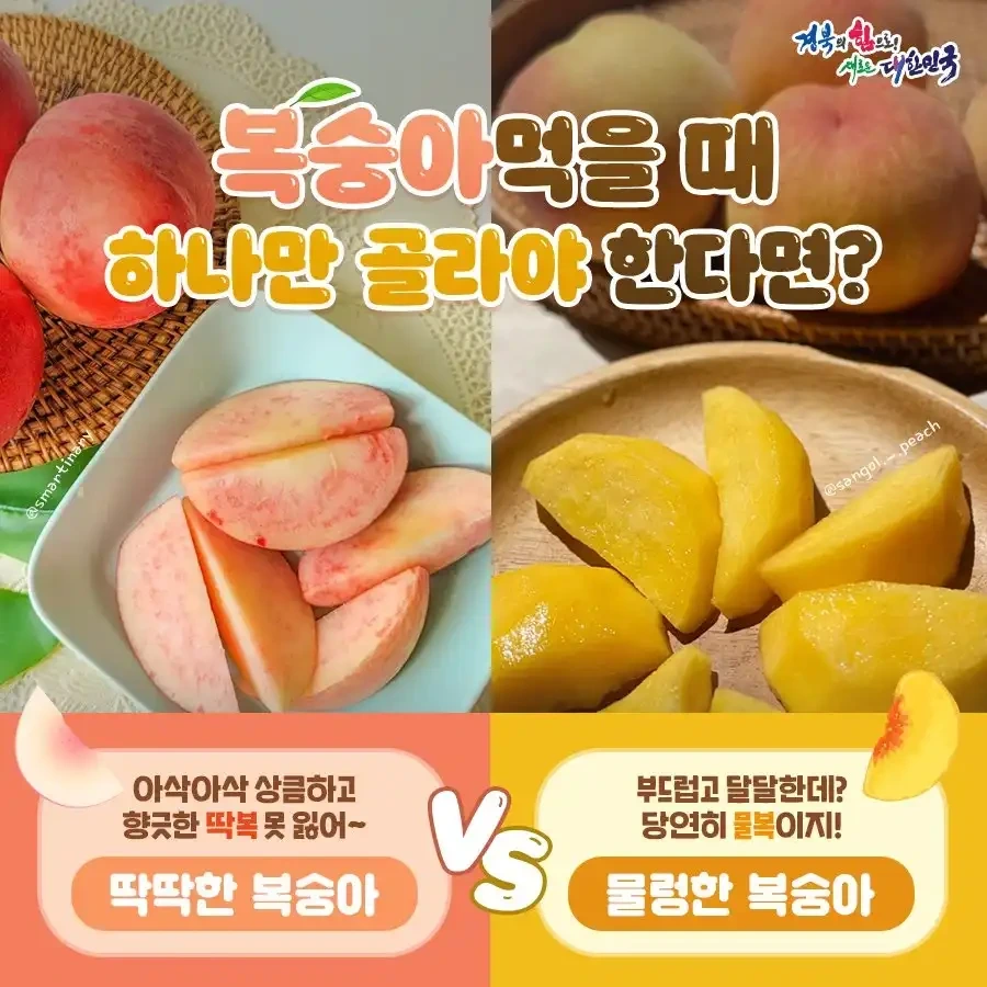  조만간 연례 행사로 열릴 대형 싸움