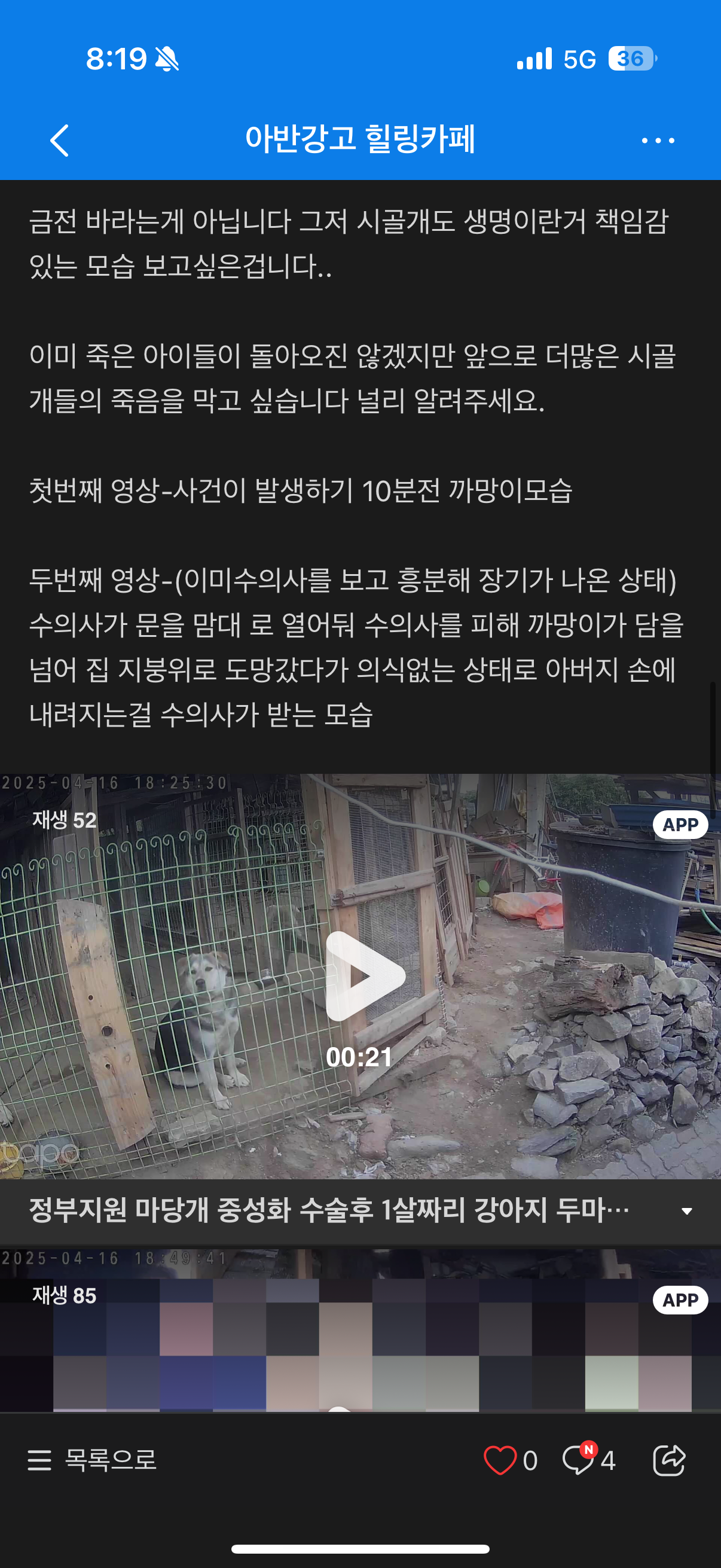 정부 지원사업인 시골 마당견 중성화 사업으로 건강하던 1살 강아지 두마리가 장기를 쏟아내며 사망했습니다 | 인스티즈