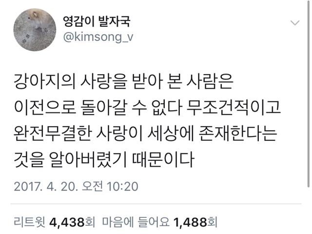 사랑은 상대의 슬픔을 필사적으로 없애주는 것이다 | 인스티즈