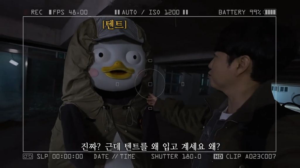  오늘자 텐트룩 입은 펭수