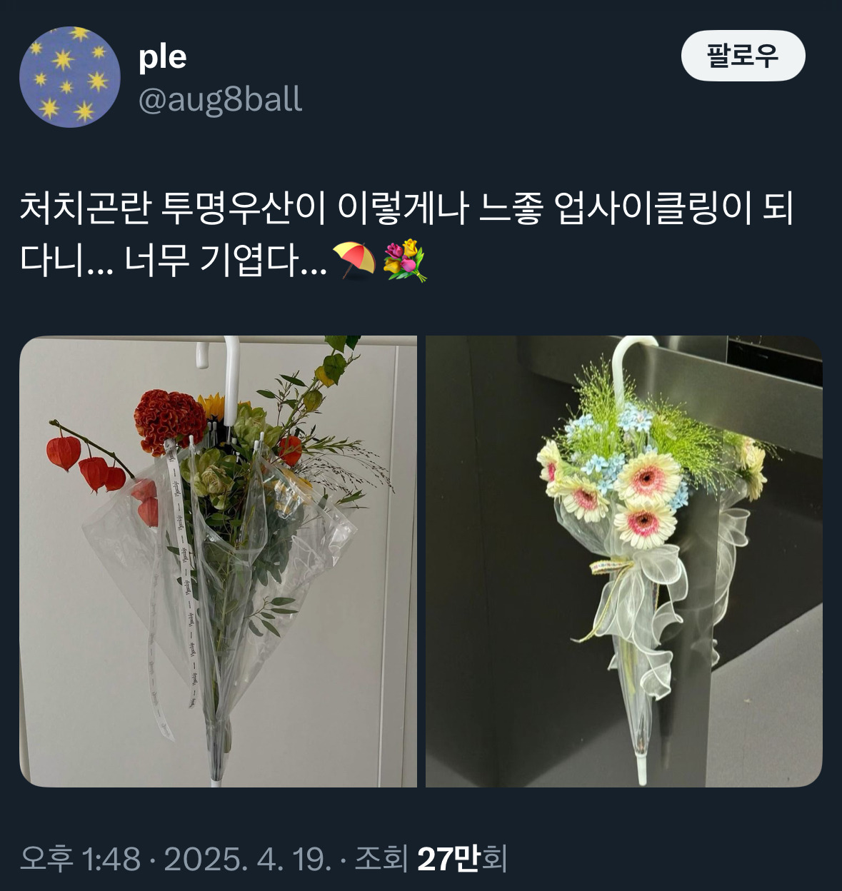 처치곤란 투명우산이 이렇게나 느좋 업사이클링 되다니.twt | 인스티즈