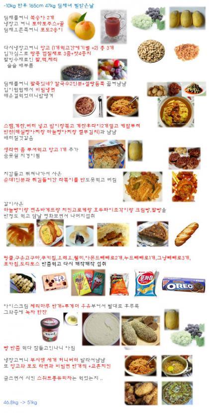  다이어트하는 사람은 공감한다는 익게 폭식 시리즈.txt