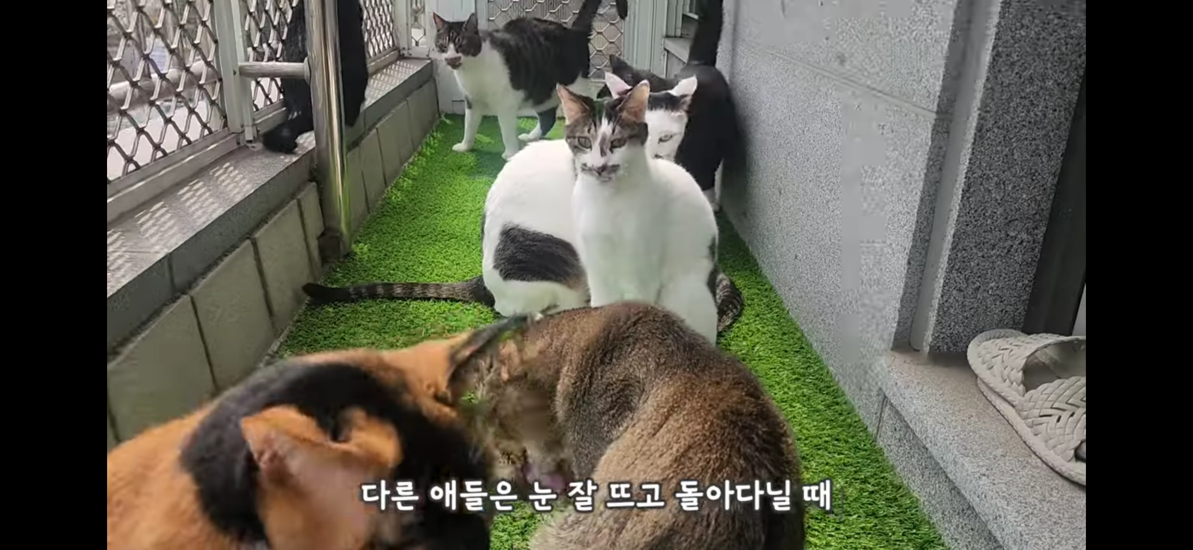 도저히 그냥 지나칠 수 없는 썸네일;;;; | 인스티즈