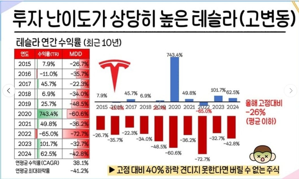  테슬라 주식 투자 난이도