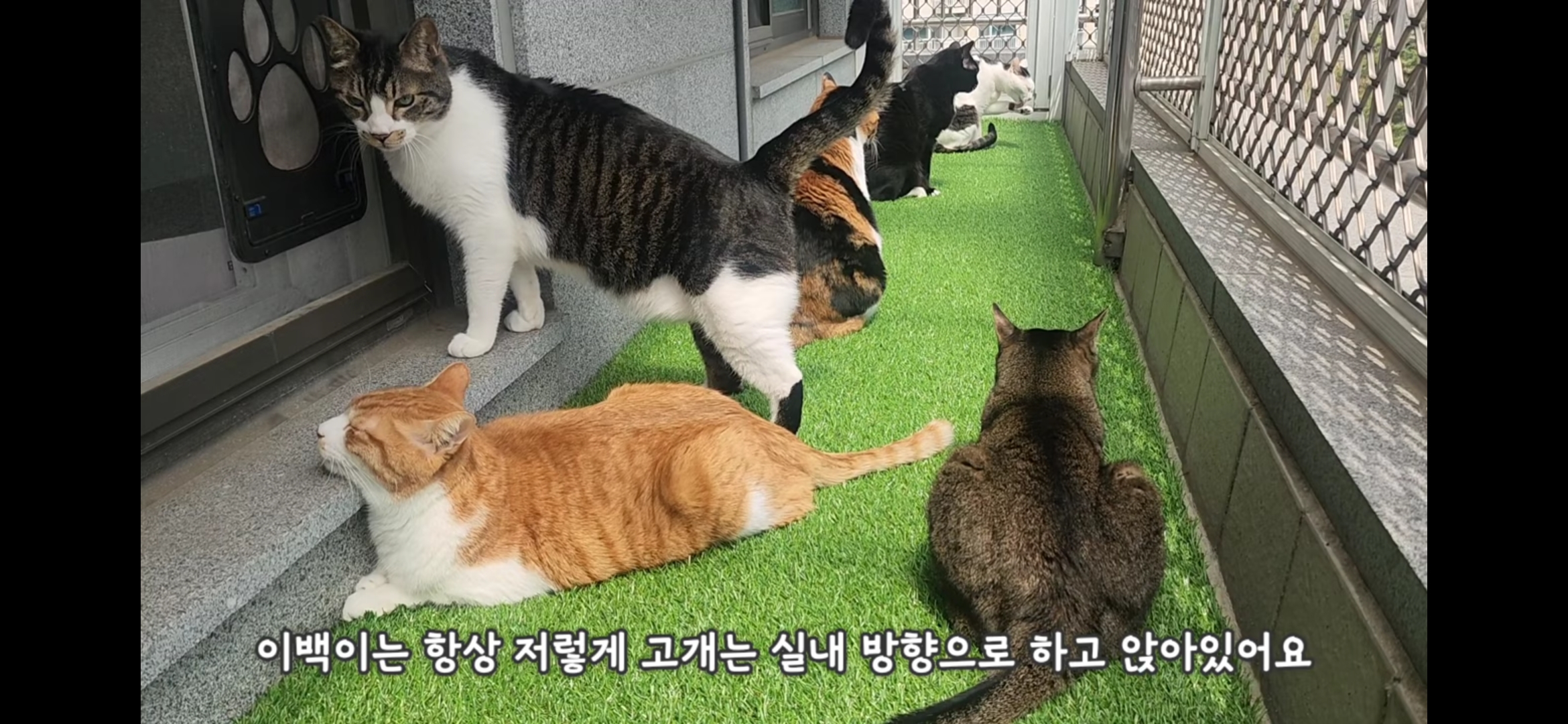 도저히 그냥 지나칠 수 없는 썸네일;;;; | 인스티즈