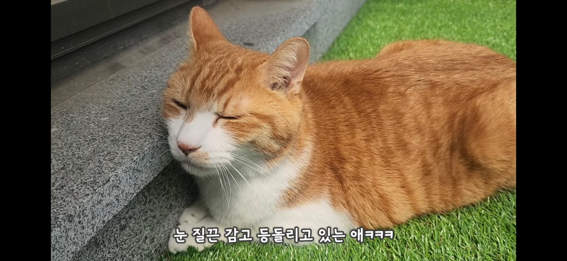 도저히 그냥 지나칠 수 없는 썸네일;;;; | 인스티즈