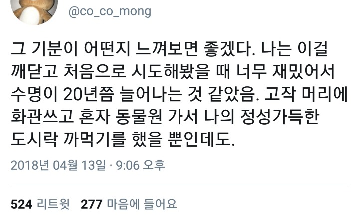 나는 나를 키워야 한다.twt | 인스티즈